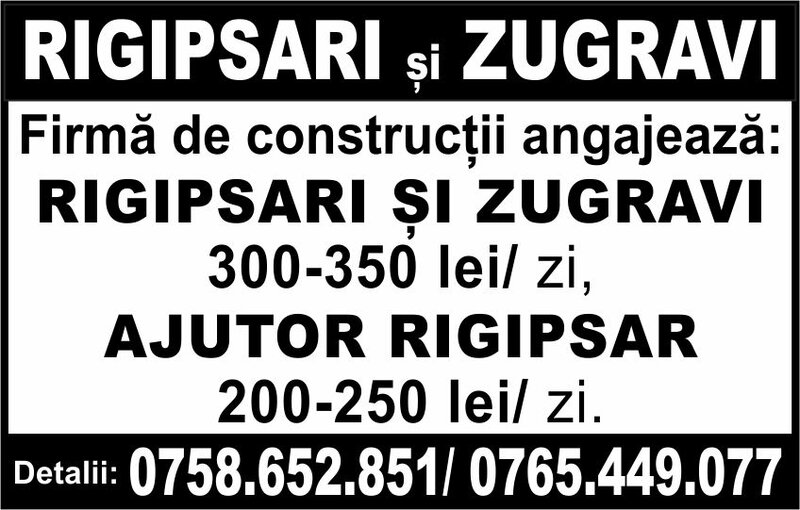 Rigipsari si zugravi.