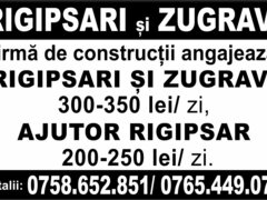 Rigipsari si zugravi